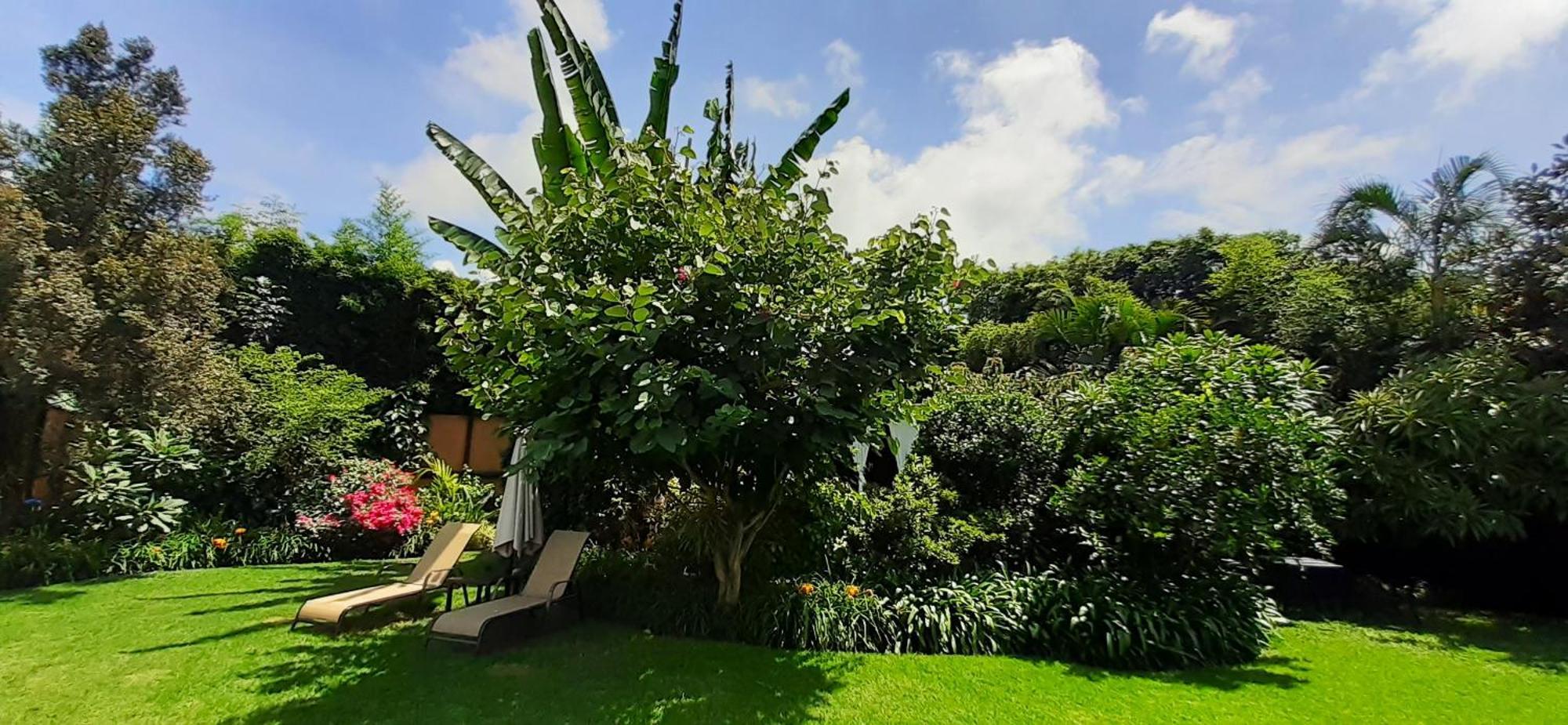 Arete (Adults Only) Hotell Tepoztlán Eksteriør bilde